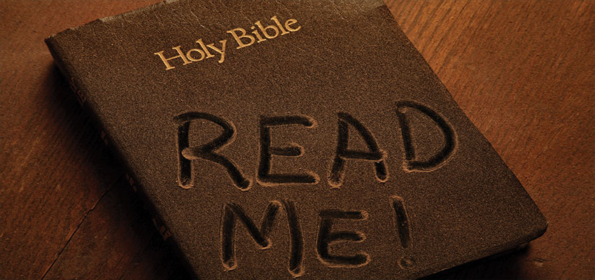 Who owns a Bible? Who reads it?