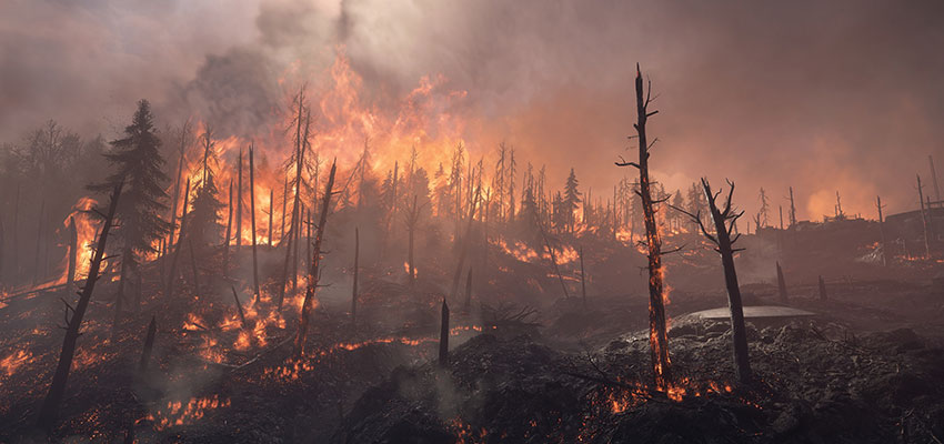 True or false? Climate change causes wildfires